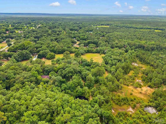 6640 Frank Reeder Rd, Pensacola, FL 32526 - aerial view of a heavily wooded area