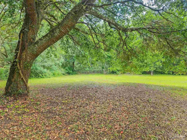 6640 Frank Reeder Rd, Pensacola, FL 32526 - view of green lawn with a wooded view