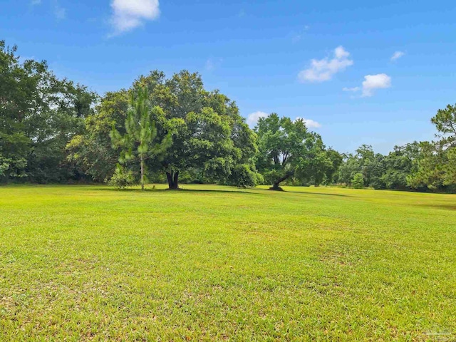 6640 Frank Reeder Rd, Pensacola, FL 32526 - view of grassy yard with view of wooded area