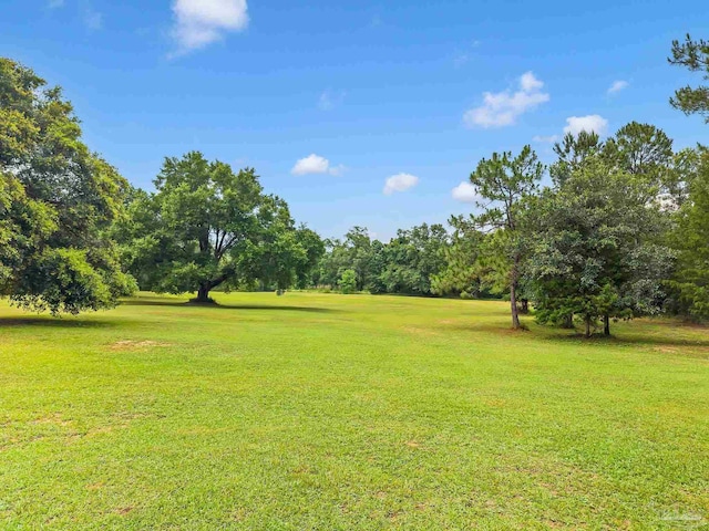 6640 Frank Reeder Rd, Pensacola, FL 32526 - view of grassy yard featuring view of scattered trees
