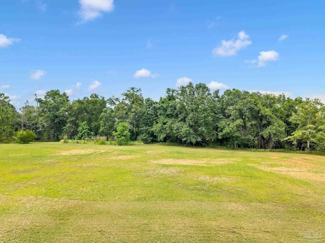6640 Frank Reeder Rd, Pensacola, FL 32526 - view of green lawn with a wooded view