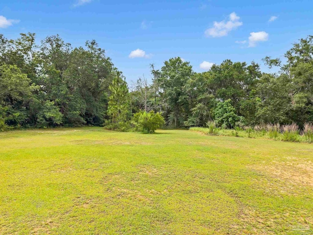 6640 Frank Reeder Rd, Pensacola, FL 32526 - view of grassy yard featuring a view of trees