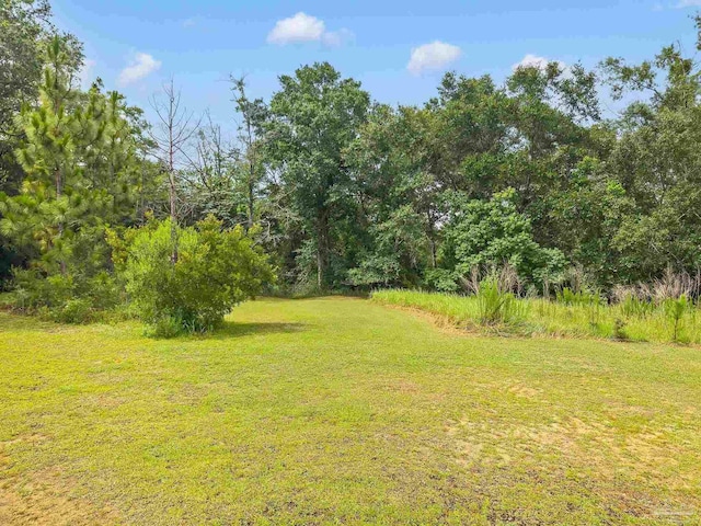 6640 Frank Reeder Rd, Pensacola, FL 32526 - view of grassy yard with a forest view