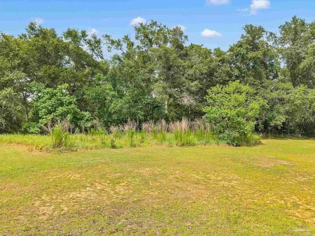 6640 Frank Reeder Rd, Pensacola, FL 32526 - view of grassy yard with a forest view