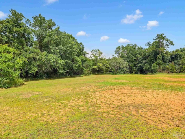 6640 Frank Reeder Rd, Pensacola, FL 32526 - view of grassy yard with a forest view