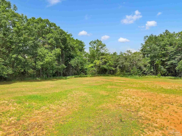 6640 Frank Reeder Rd, Pensacola, FL 32526 - view of green lawn with a forest view