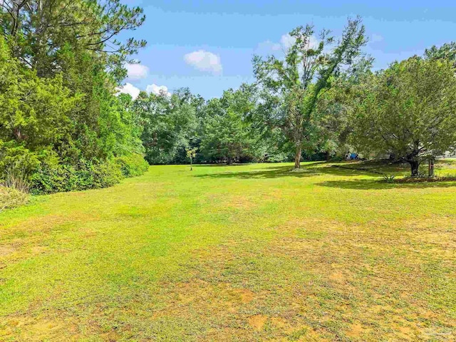 6640 Frank Reeder Rd, Pensacola, FL 32526 - view of green lawn