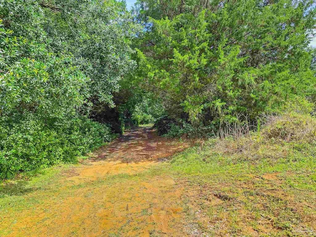 6640 Frank Reeder Rd, Pensacola, FL 32526 - view of nature