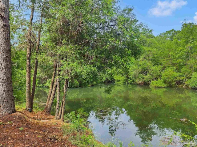 6640 Frank Reeder Rd, Pensacola, FL 32526 - water view featuring a heavily wooded area