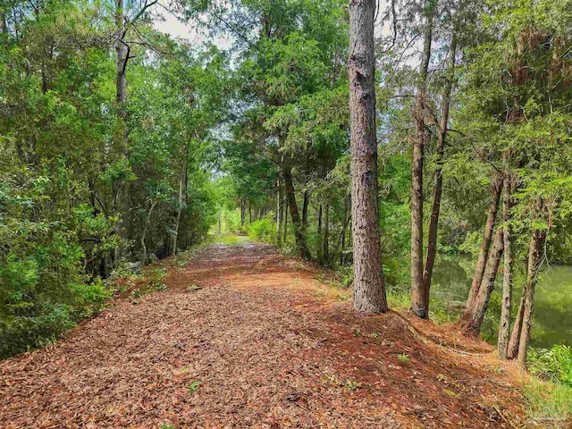6640 Frank Reeder Rd, Pensacola, FL 32526 - view of street with a forest view