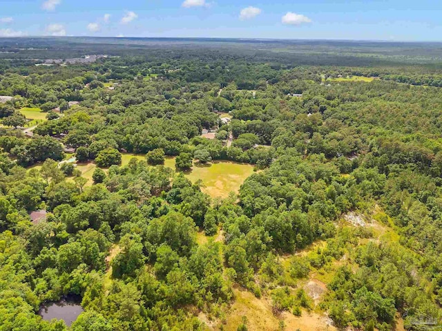 6640 Frank Reeder Rd, Pensacola, FL 32526 - bird's eye view of a forest