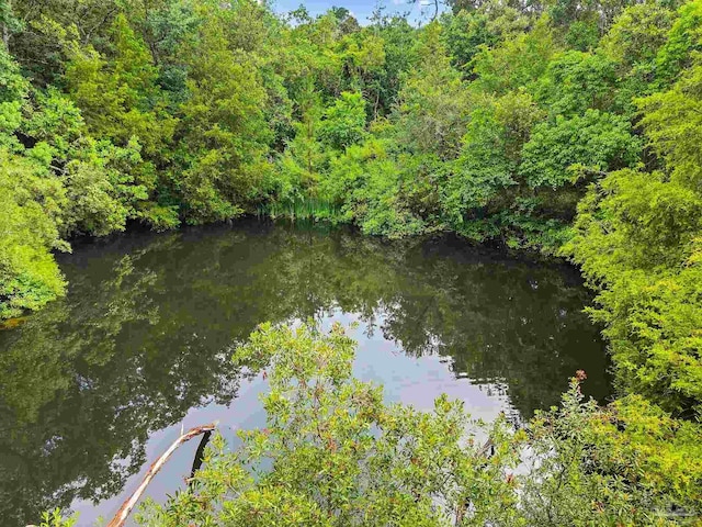 6640 Frank Reeder Rd, Pensacola, FL 32526 - water view