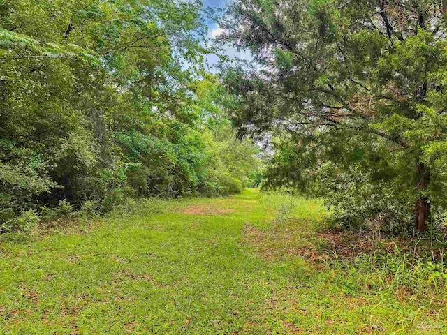 6640 Frank Reeder Rd, Pensacola, FL 32526 - view of yard featuring a wooded view