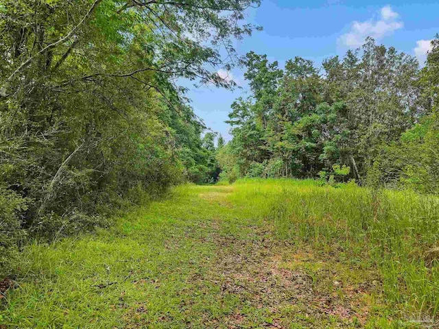 6640 Frank Reeder Rd, Pensacola, FL 32526 - view of wooded area