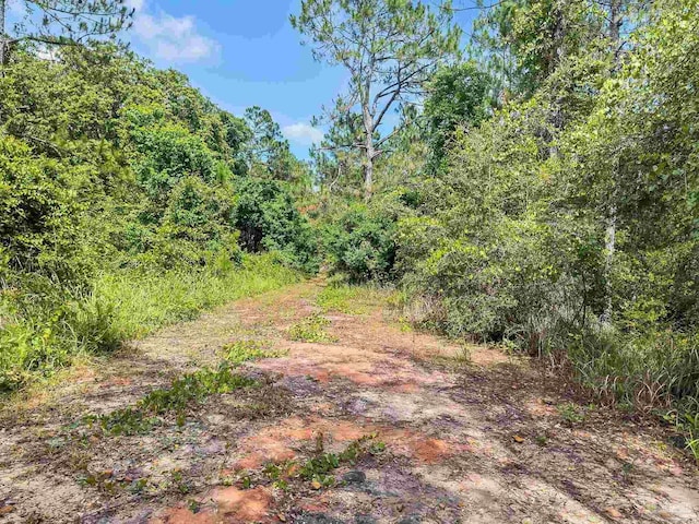 6640 Frank Reeder Rd, Pensacola, FL 32526 - view of wooded area