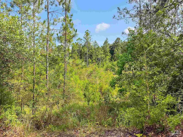 6640 Frank Reeder Rd, Pensacola, FL 32526 - view of wooded area