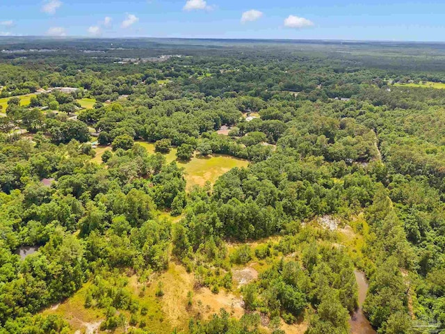 6640 Frank Reeder Rd, Pensacola, FL 32526 - drone / aerial view of a heavily wooded area