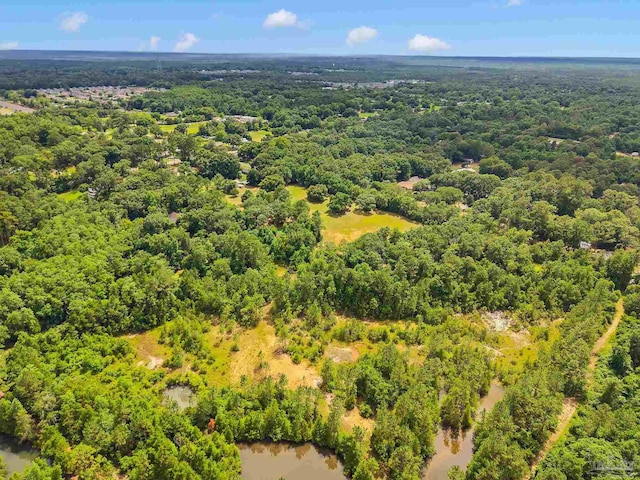6640 Frank Reeder Rd, Pensacola, FL 32526 - drone / aerial view of a forest