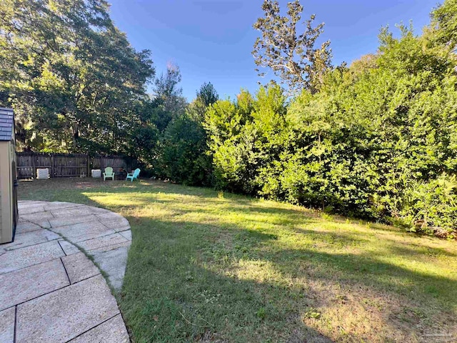 view of yard featuring a patio