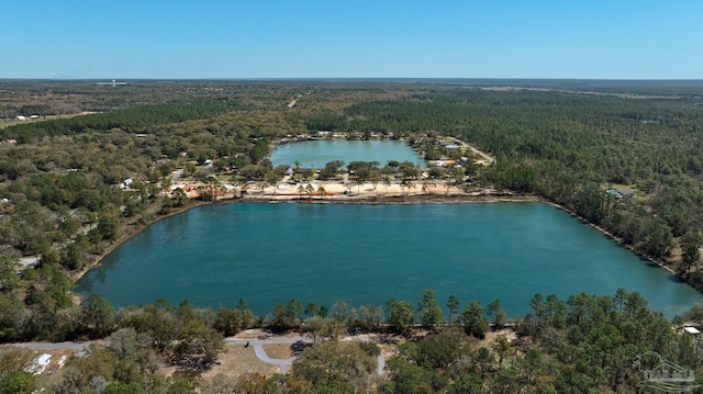 birds eye view of property featuring a forest view and a water view