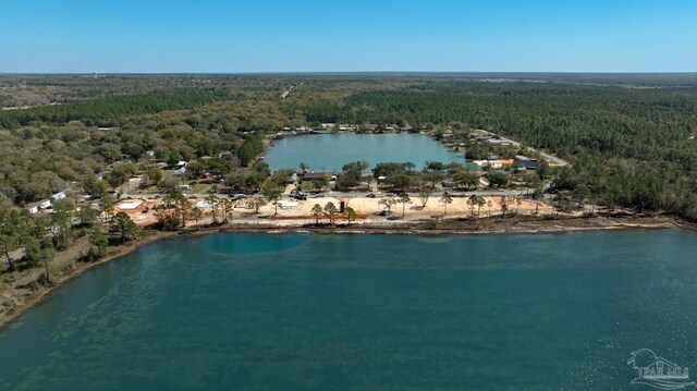 birds eye view of property featuring a view of trees and a water view