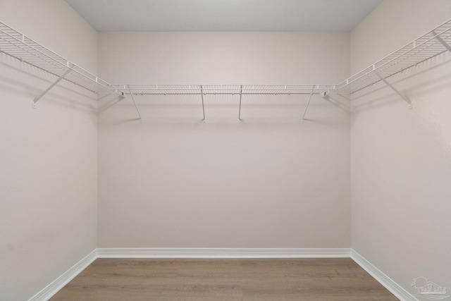 spacious closet with hardwood / wood-style floors