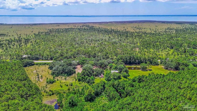 939 Avalon Blvd, Milton, FL 32583 - aerial view of a forest