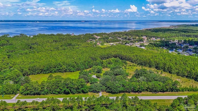 939 Avalon Blvd, Milton, FL 32583 - drone / aerial view of a large body of water