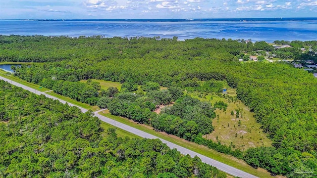 939 Avalon Blvd, Milton, FL 32583 - view of property location featuring a nearby body of water and a forest