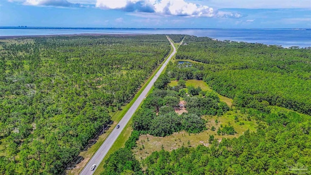 939 Avalon Blvd, Milton, FL 32583 - aerial view of a large body of water and a forest