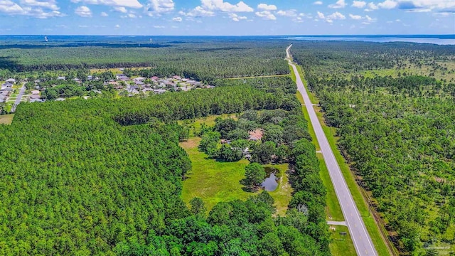 939 Avalon Blvd, Milton, FL 32583 - drone / aerial view of a forest