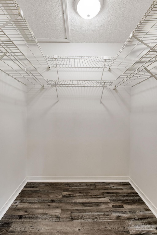 walk in closet with dark wood finished floors