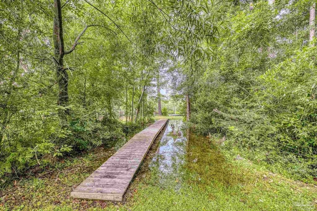 4621 Riley Rd, Milton, FL 32583 - surrounding community featuring a forest view
