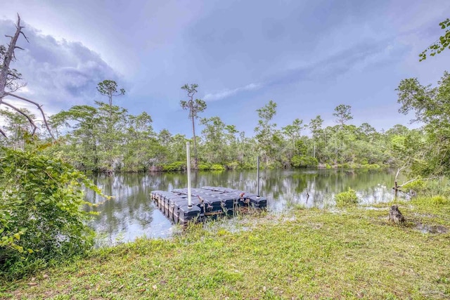 4621 Riley Rd, Milton, FL 32583 - dock area with a water view