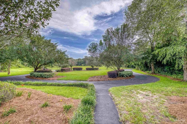 4621 Riley Rd, Milton, FL 32583 - view of home's community featuring a lawn