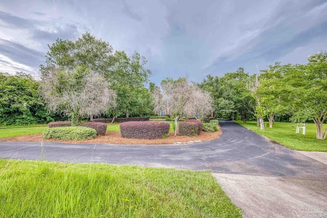 4621 Riley Rd, Milton, FL 32583 - view of asphalt driveway with view of scattered trees