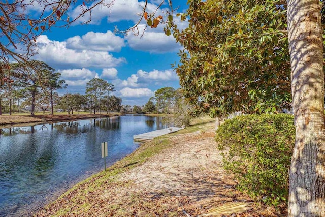 water view featuring a boat dock