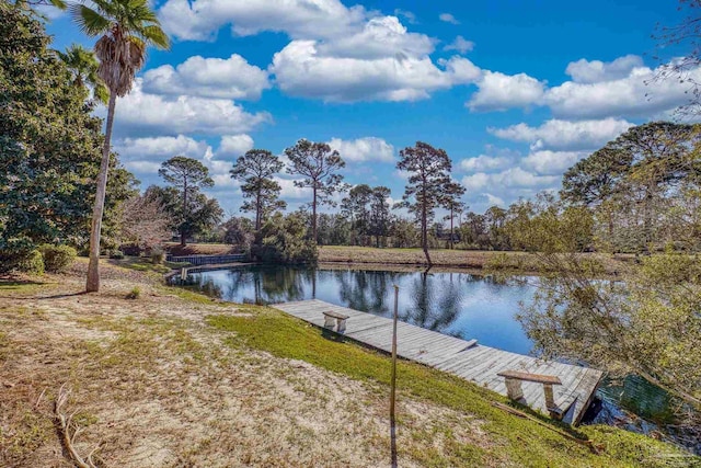 dock area with a water view