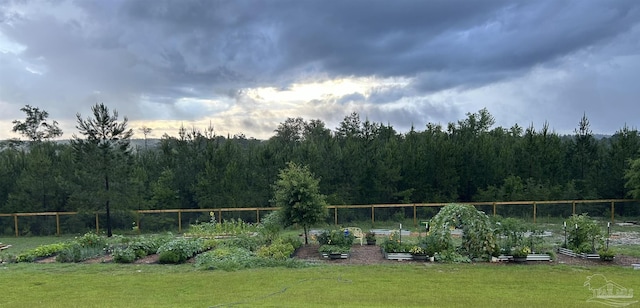 view of yard featuring fence, a garden, and a view of trees