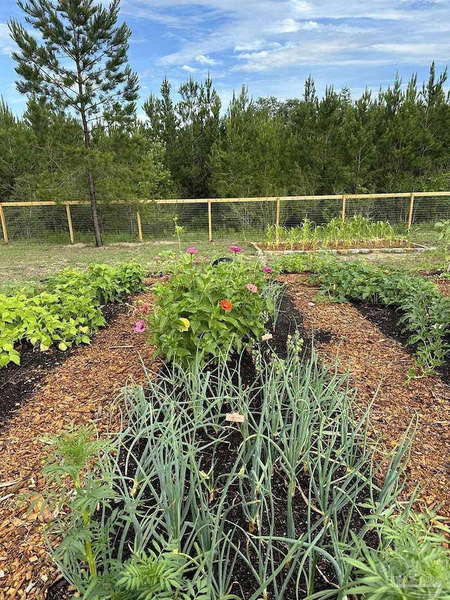 view of community with a vegetable garden and fence