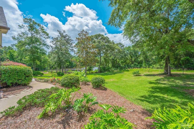 337 Grande Oaks Blvd, Cantonment, FL 32533 - view of yard
