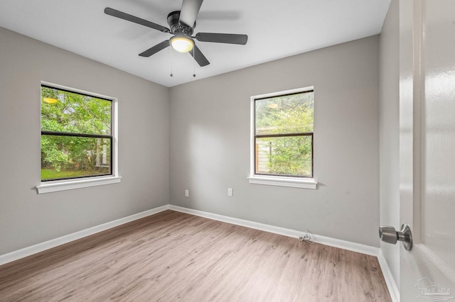 4905 State St, Pensacola, FL 32506 - unfurnished room featuring wood finished floors, plenty of natural light, baseboards, and ceiling fan