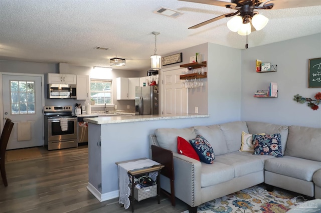 living room featuring a textured ceiling, dark hardwood / wood-style floors, ceiling fan, and sink