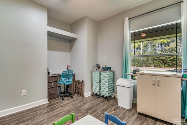 office featuring dark wood-type flooring