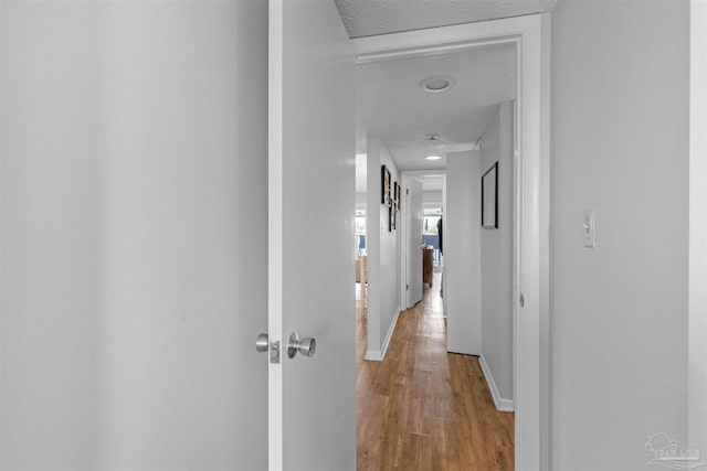 hall with light hardwood / wood-style floors