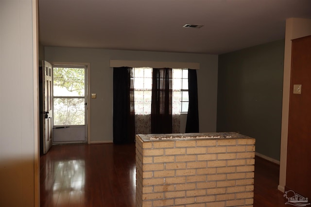 interior space featuring dark hardwood / wood-style flooring and plenty of natural light