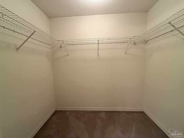 walk in closet with carpet