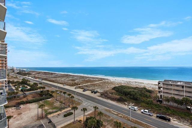 water view featuring a view of the beach