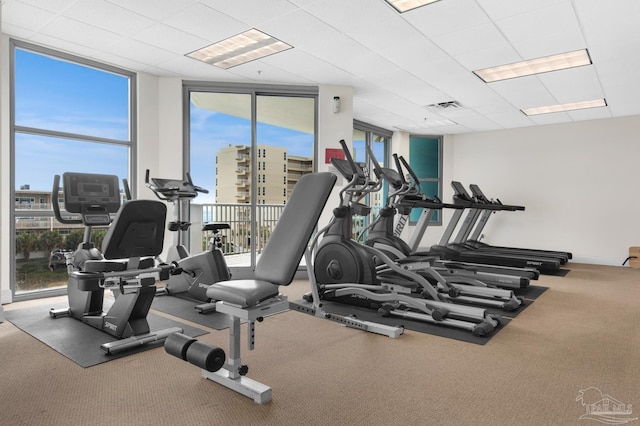 exercise room with carpet floors and floor to ceiling windows