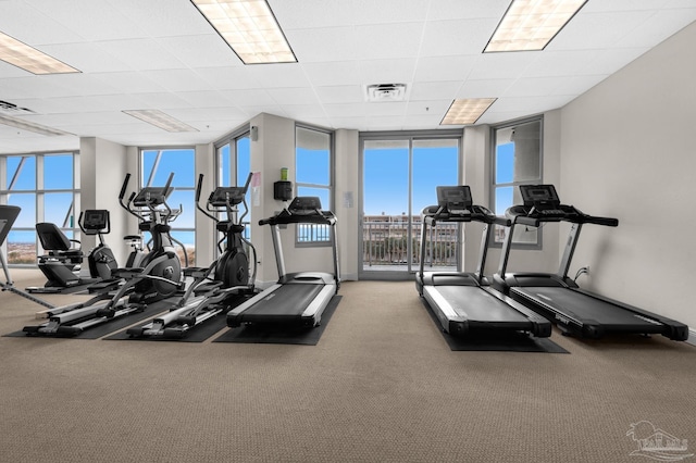 gym featuring a paneled ceiling and a wall of windows